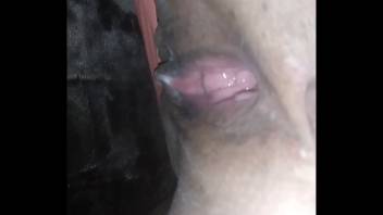 Fucking bbw wife doggystyle and creampie